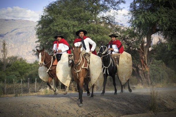 Festival of the Gaucho in Salta, Argentina