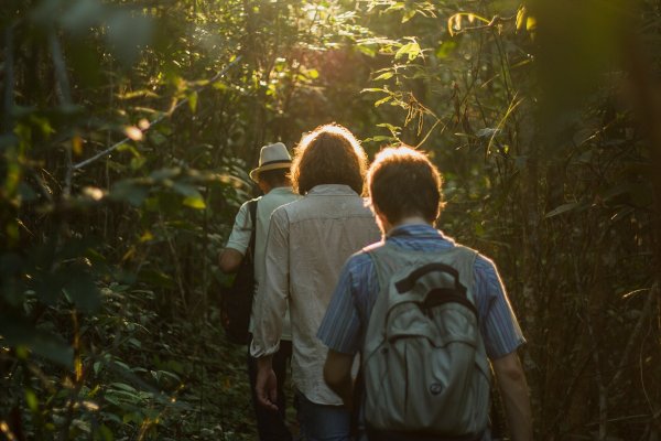 Explore the Amazon Rainforest