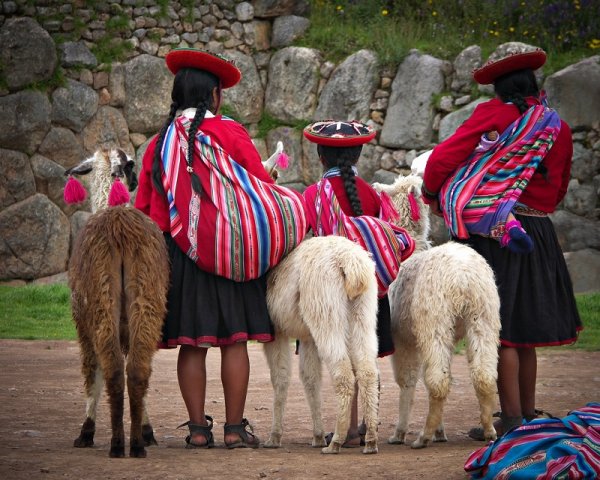 Indigenous people and llamas from the back