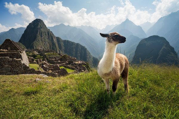 Hiking to Machu Picchu