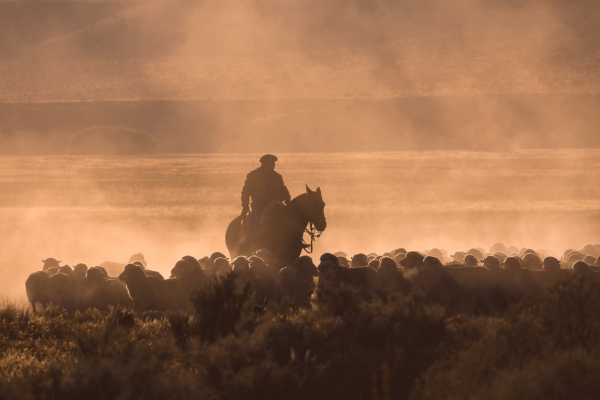 Gauchos in Patagonia were historically nomadic, leading a life of travel and wor